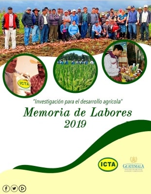 Memoria de Labores ICTA 2019